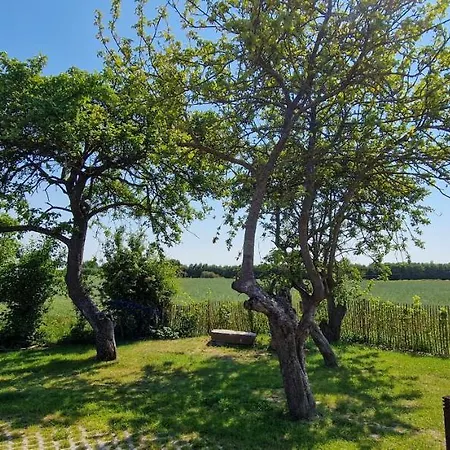 „suennuennergang“ - Hof Muehlenkoppel Hasselberg (Schleswig-Holstein)