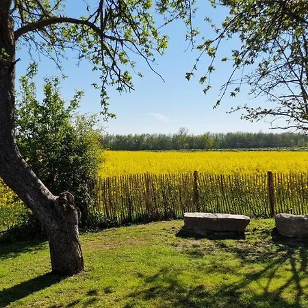 „suennuennergang“ - Hof Muehlenkoppel Hasselberg (Schleswig-Holstein)